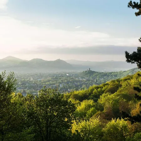 Dorint Venusberg 4* 본