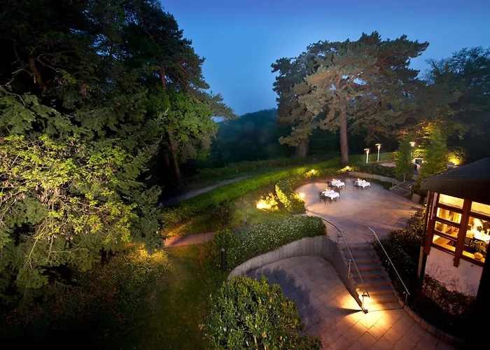 Hotel Dorint Venusberg 4*