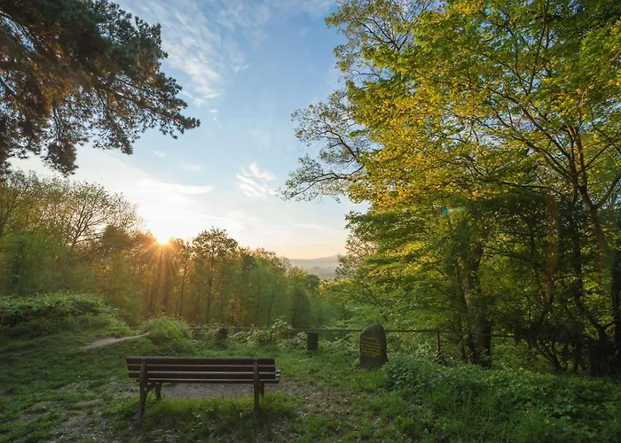 Dorint Venusberg Hotel